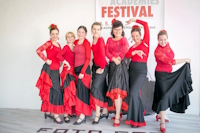 Festival flamencových akadémií